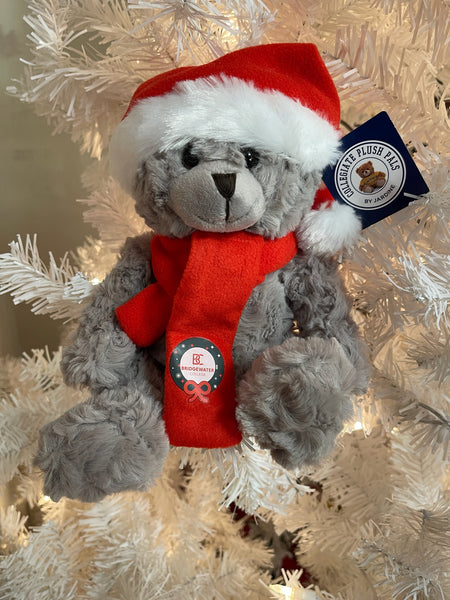 Bridgewater College Holiday Plush Teddy Bear with Santa Hat