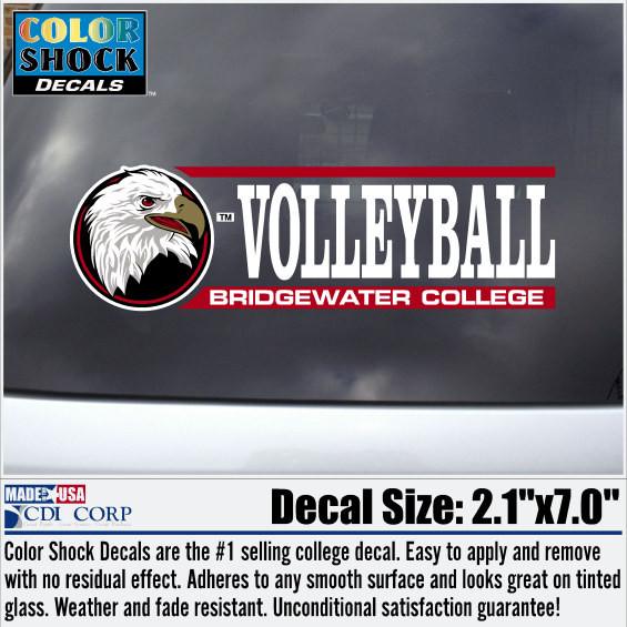 Color Shock Car Volleyball Decal