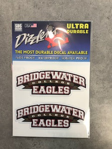 SDS Bridgewater College Dizzlers Super Durable Sticker